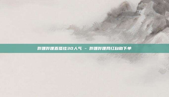 哔哩哔哩直播挂30人气 - 哔哩哔哩网红自助下单
