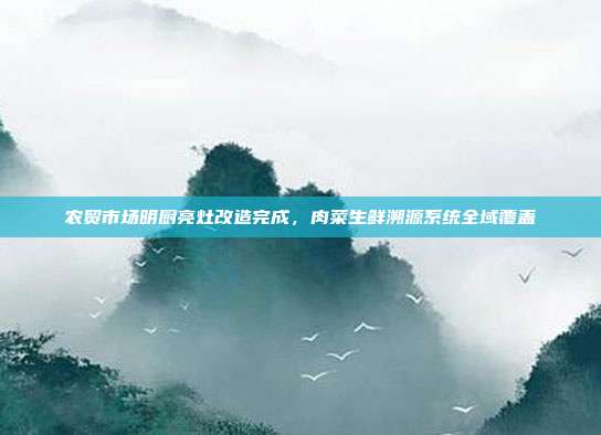 农贸市场明厨亮灶改造完成，肉菜生鲜溯源系统全域覆盖