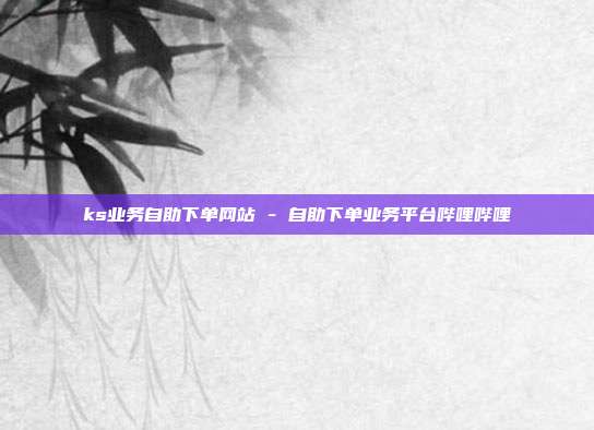 ks业务自助下单网站 - 自助下单业务平台哔哩哔哩