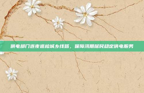 供电部门连夜巡检城乡线路，保障汛期居民稳定供电服务