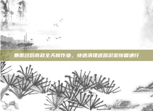暴雨过后市政全天候作业，快速清理道路淤泥恢复通行