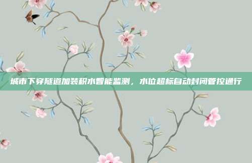 城市下穿隧道加装积水智能监测，水位超标自动封闭管控通行