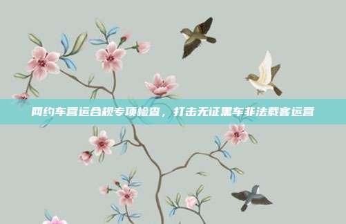网约车营运合规专项检查，打击无证黑车非法载客运营
