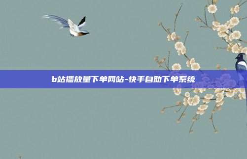 b站播放量下单网站-快手自助下单系统
