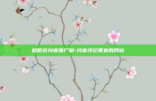 超低价抖音僵尸粉-抖音评论便宜的网站
