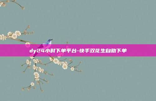 dy24小时下单平台-快手双花生自助下单