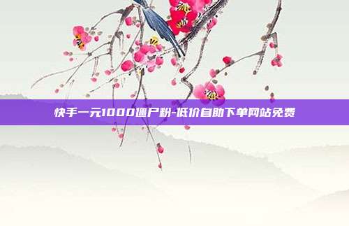 快手一元1000僵尸粉-低价自助下单网站免费