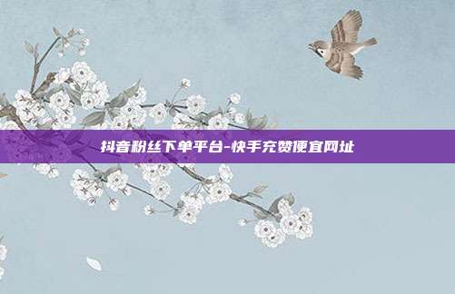 抖音粉丝下单平台-快手充赞便宜网址