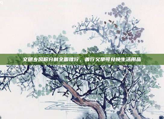 文明乡风积分制全面推行,善行义举可兑换生活用品