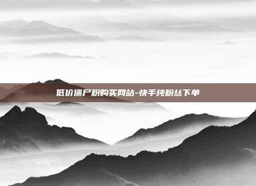 低价僵尸粉购买网站-快手纯粉丝下单