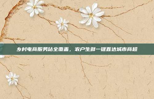 乡村电商服务站全覆盖，农户生鲜一键直达城市商超
