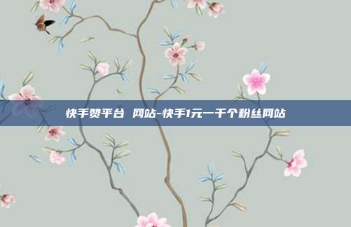 快手赞平台 网站-快手1元一千个粉丝网站