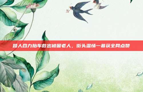 路人合力抬车救出被困老人,街头温情一幕获全网点赞