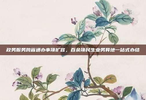 政务服务跨省通办事项扩容,百余项民生业务异地一站式办结