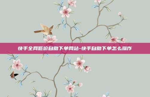 快手全网低价自助下单网站-快手自助下单怎么操作