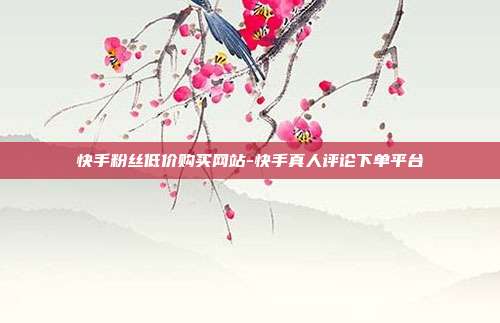 快手粉丝低价购买网站-快手真人评论下单平台