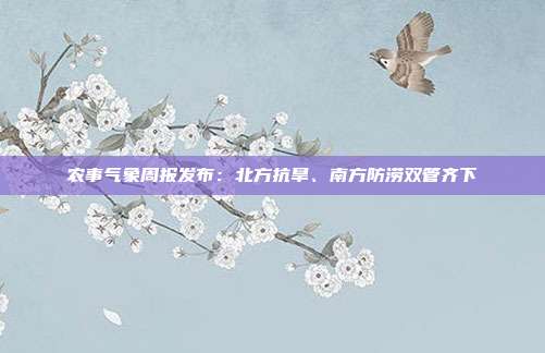农事气象周报发布：北方抗旱、南方防涝双管齐下