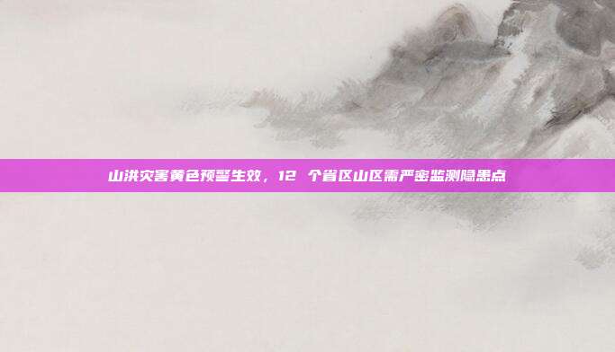山洪灾害黄色预警生效,12 个省区山区需严密监测隐患点