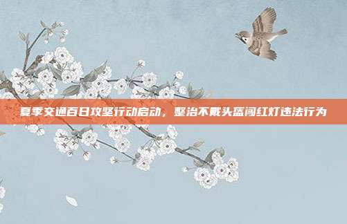 夏季交通百日攻坚行动启动,整治不戴头盔闯红灯违法行为