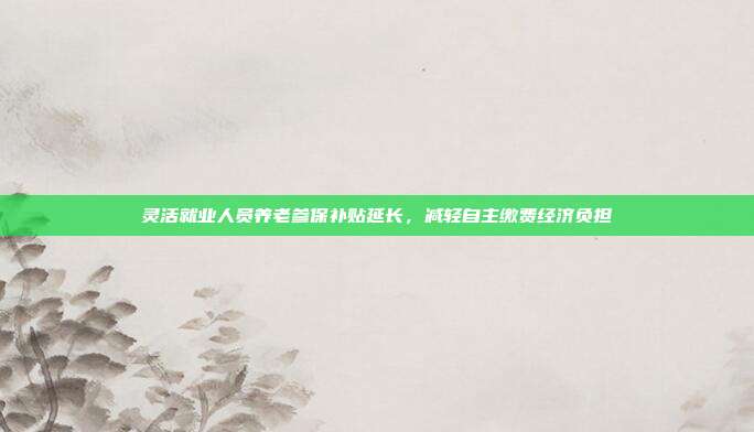 灵活就业人员养老参保补贴延长，减轻自主缴费经济负担