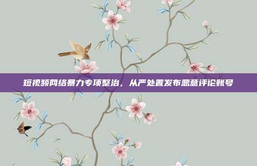 短视频网络暴力专项整治，从严处置发布恶意评论账号