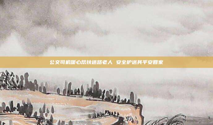 公交司机暖心帮扶迷路老人 安全护送其平安回家