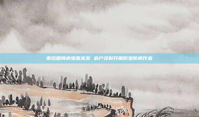 雨后田间病虫害高发 农户及时开展防虫防病作业