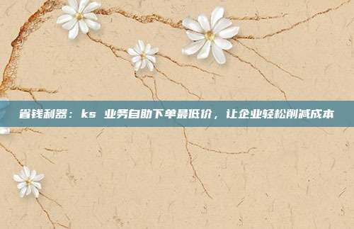 省钱利器:ks 业务自助下单最低价,让企业轻松削减成本