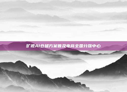 旷视AI仓储方案普及电商全国分拨中心