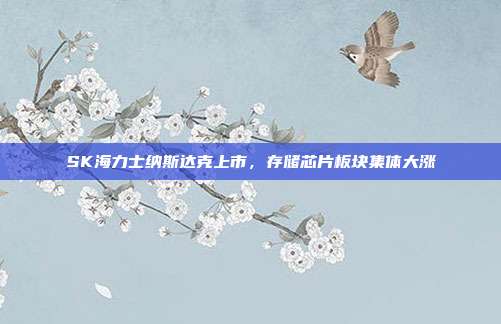 SK海力士纳斯达克上市,存储芯片板块集体大涨