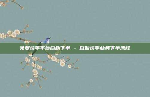 免费快手平台自助下单 - 自助快手业务下单流程