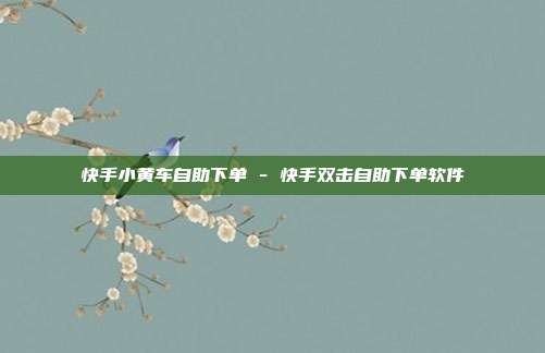 快手小黄车自助下单 - 快手双击自助下单软件