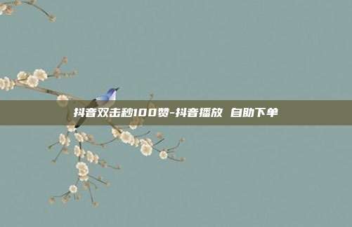 抖音双击秒100赞-抖音播放 自助下单