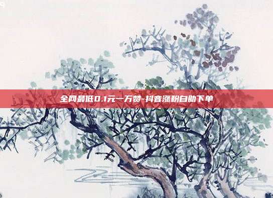 全网最低0.1元一万赞-抖音涨粉自助下单