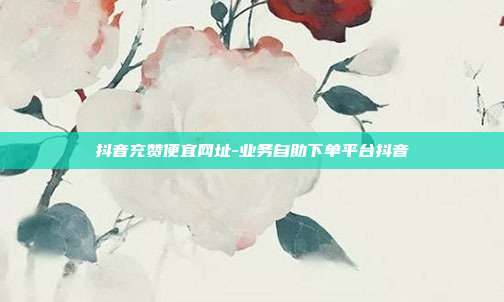抖音充赞便宜网址-业务自助下单平台抖音