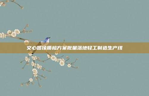 文心图像质检方案批量落地轻工制造生产线