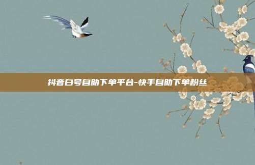 抖音白号自助下单平台-快手自助下单粉丝