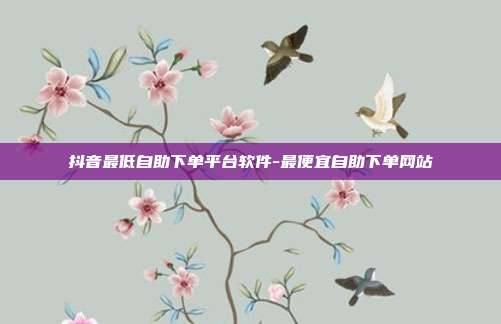 抖音最低自助下单平台软件-最便宜自助下单网站