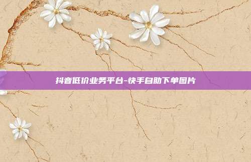 抖音低价业务平台-快手自助下单图片