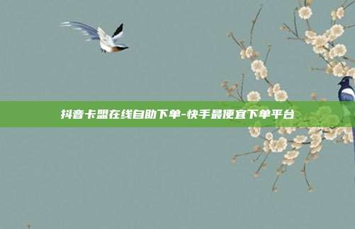 抖音卡盟在线自助下单-快手最便宜下单平台