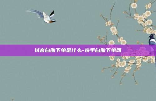 抖音自助下单是什么-快手自助下单网