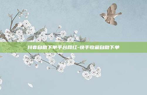 抖音自助下单平台网红-快手收藏自助下单