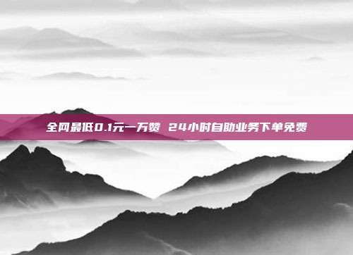 全网最低0.1元一万赞 24小时自助业务下单免费