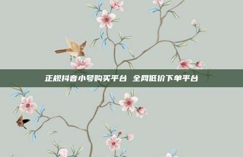正规抖音小号购买平台 全网低价下单平台