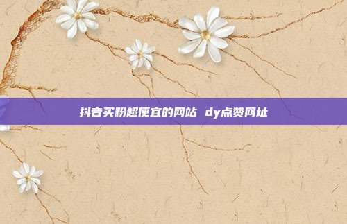抖音买粉超便宜的网站 dy点赞网址