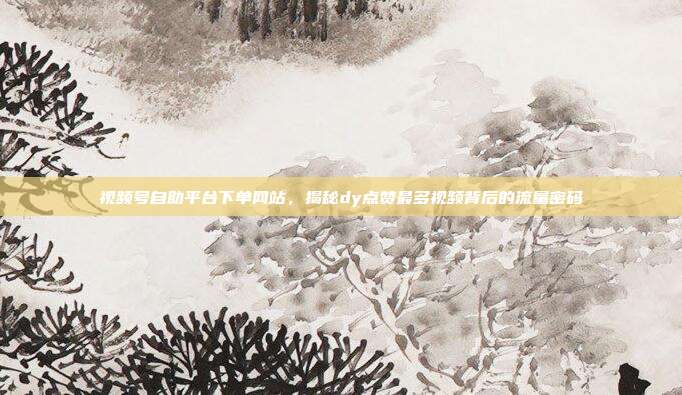 视频号自助平台下单网站，揭秘dy点赞最多视频背后的流量密码
