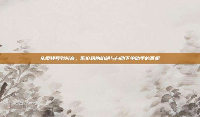 从视频号到抖音，低价粉的陷阱与自助下单助手的真相