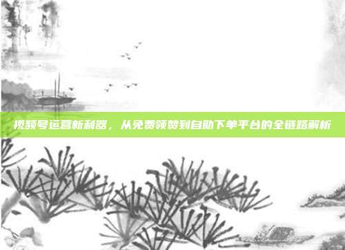 视频号运营新利器，从免费领赞到自助下单平台的全链路解析