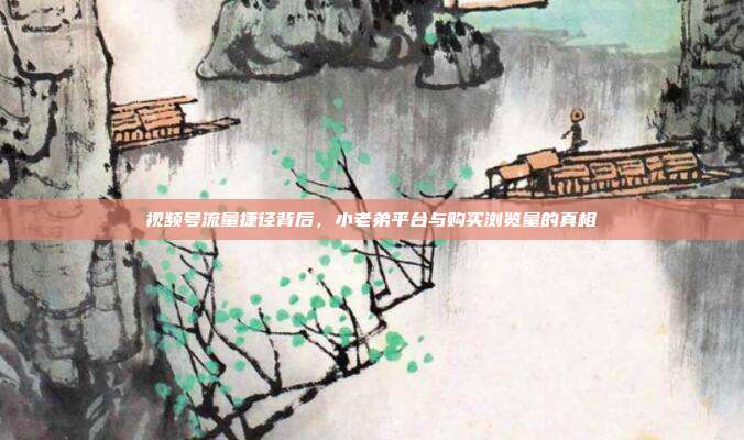 视频号流量捷径背后,小老弟平台与购买浏览量的真相