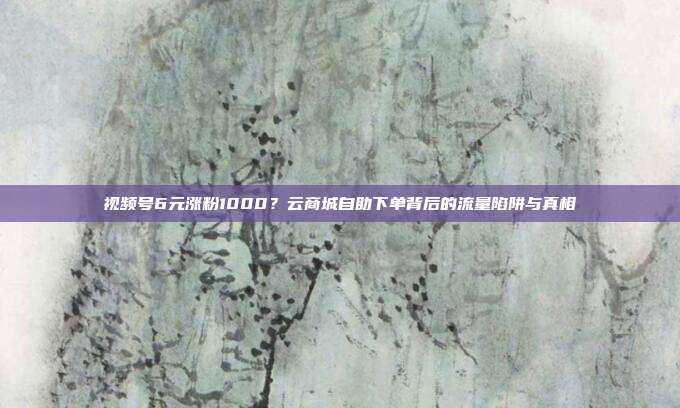 视频号6元涨粉1000？云商城自助下单背后的流量陷阱与真相